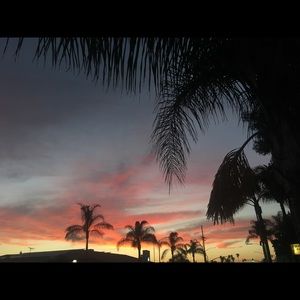 Meet your Posher, Martha